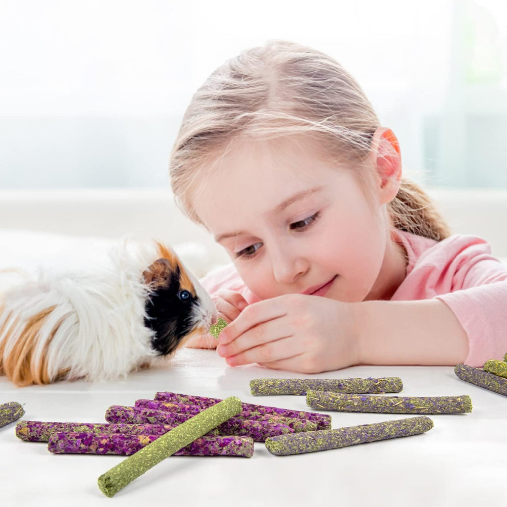 Small animal dental toys variety flavors