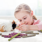 Small animal dental toys variety flavors
