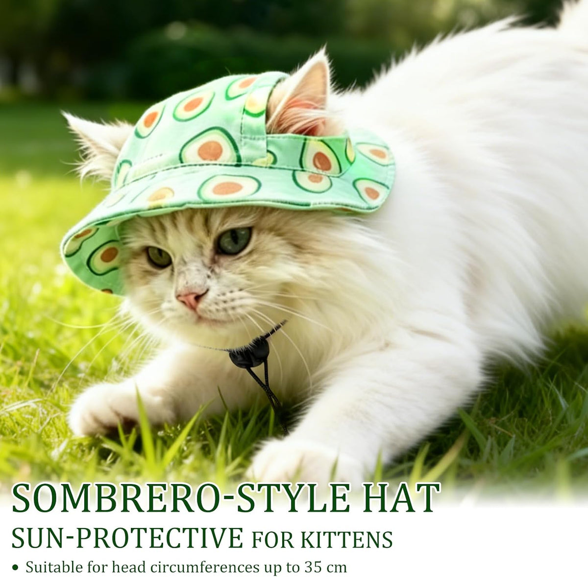 Side profile of kitten wearing summer pet hat
