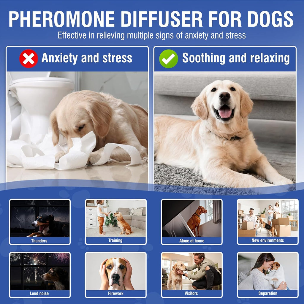 LKBHGF dog stress relief kit components demonstrating seven hundred square feet coverage solution