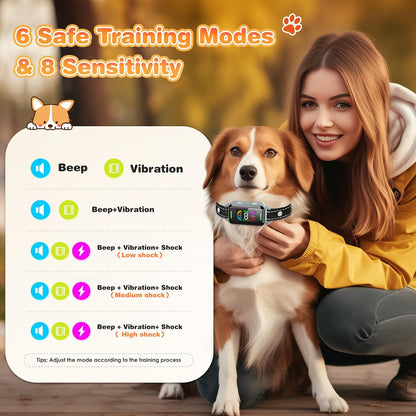 Dinjoo rechargeable training collar for dogs