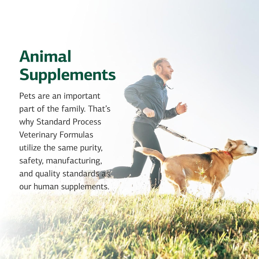 Standard Process Feline Whole Body Support safety seal and packaging details