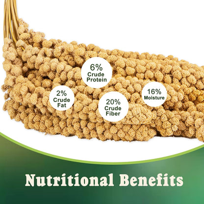 Natural sun-dried millet sprays inside 5lb bulk box