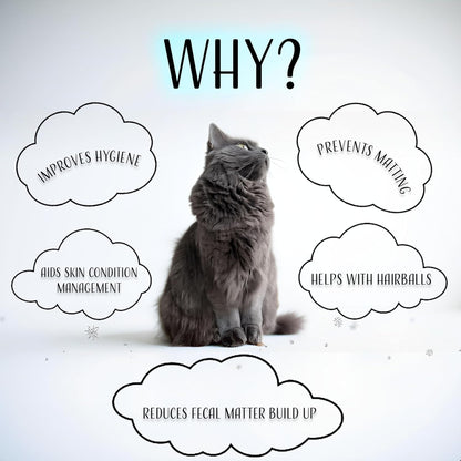 Rechargeable cat shaver showing USB charging port and accessories