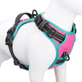 Phoepet 2019 Upgraded No Pull Dog Harness front view pink