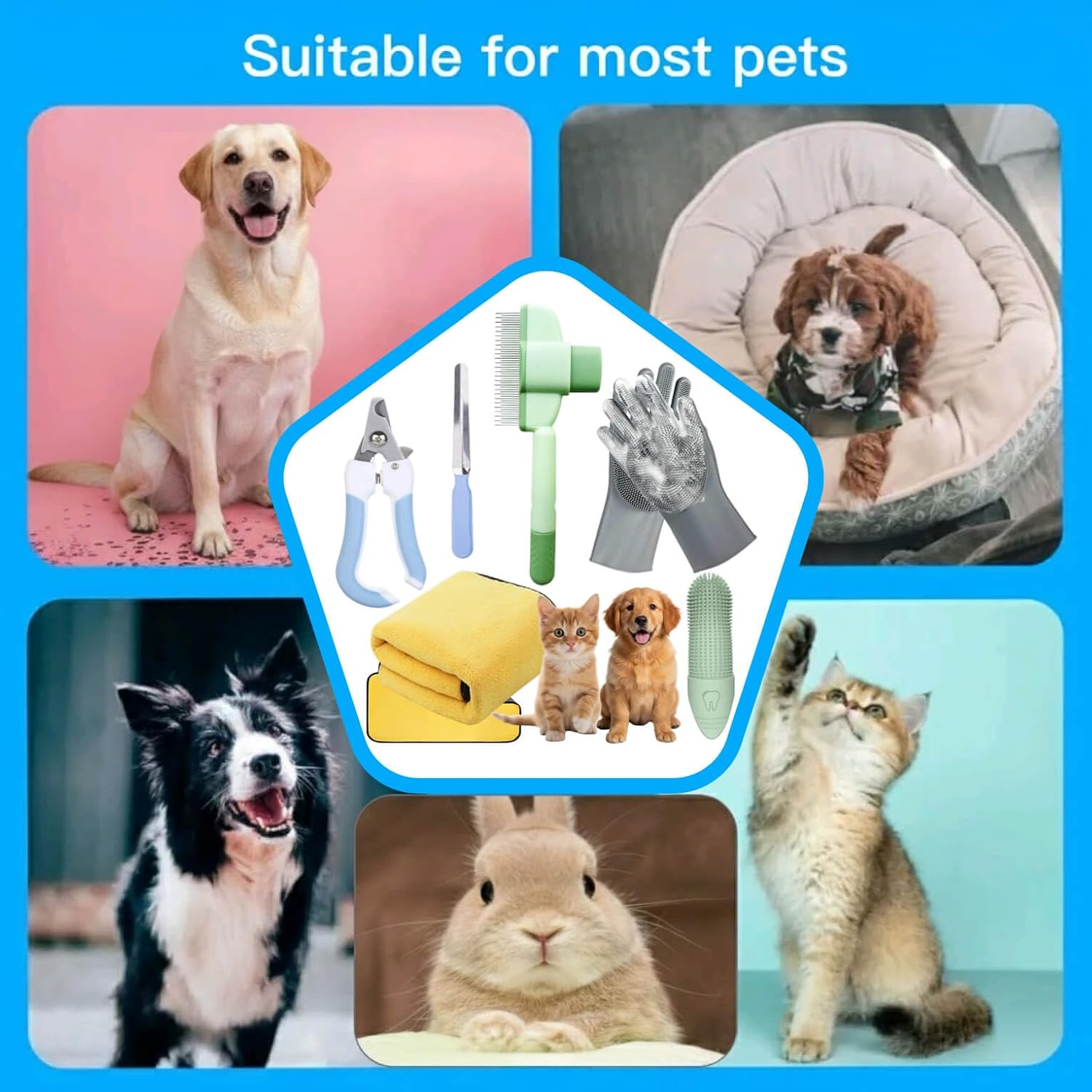 Professional pet grooming kit components arranged for home use.