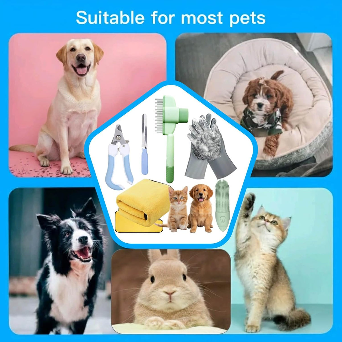 Professional pet grooming kit components arranged for home use.