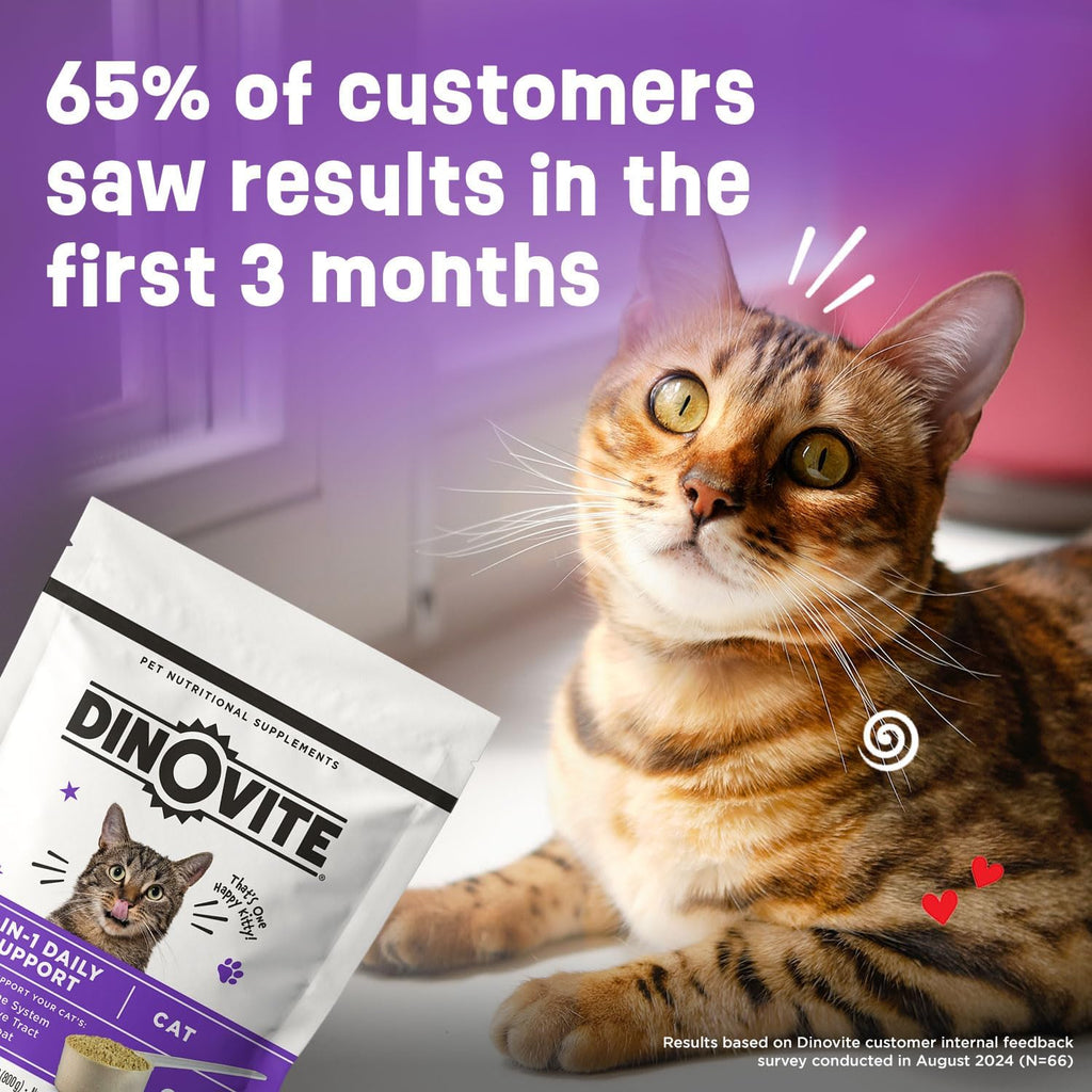 Dinovite cat prebiotic and probiotic daily food topper lifestyle image