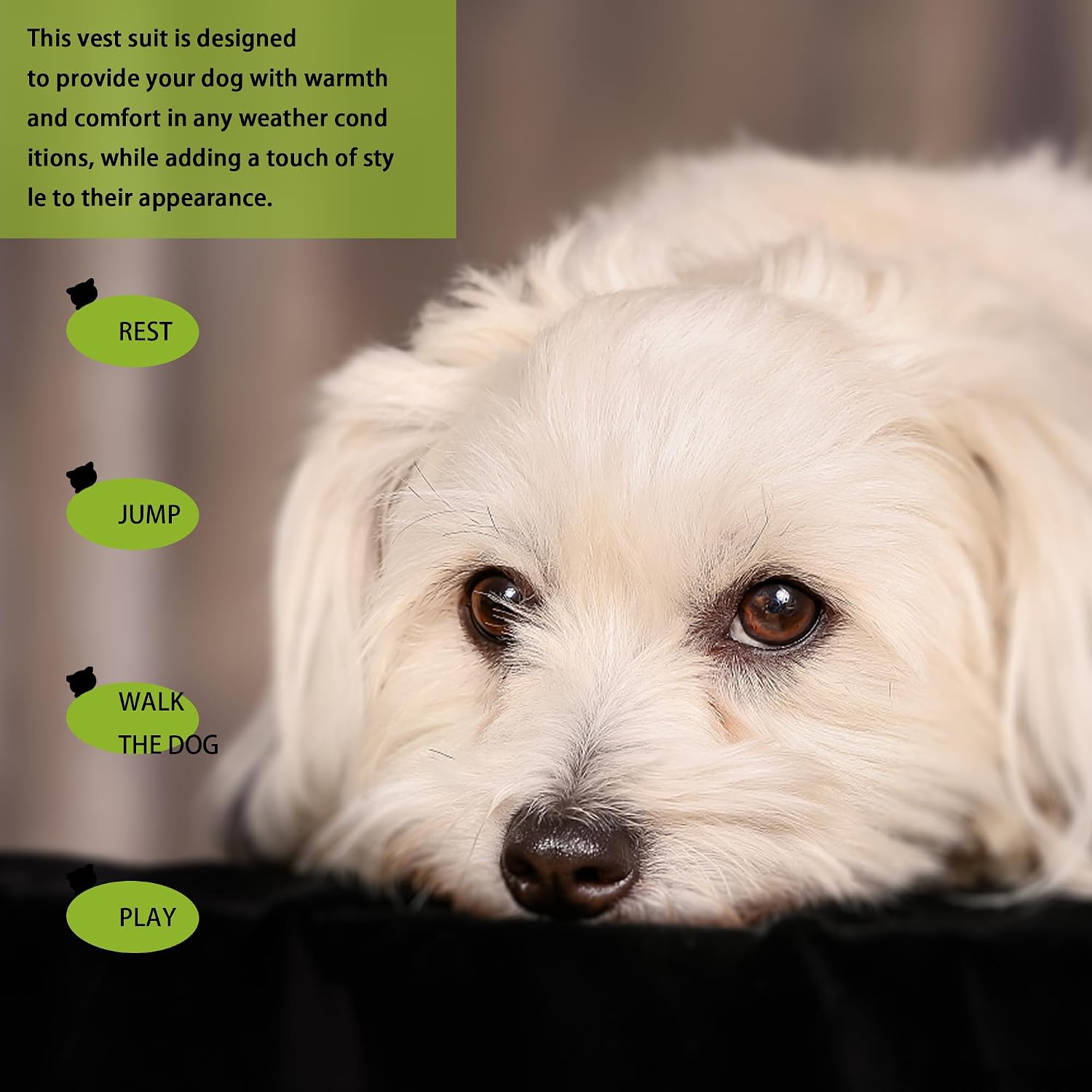 Medium size dog shirt with stretchable fit