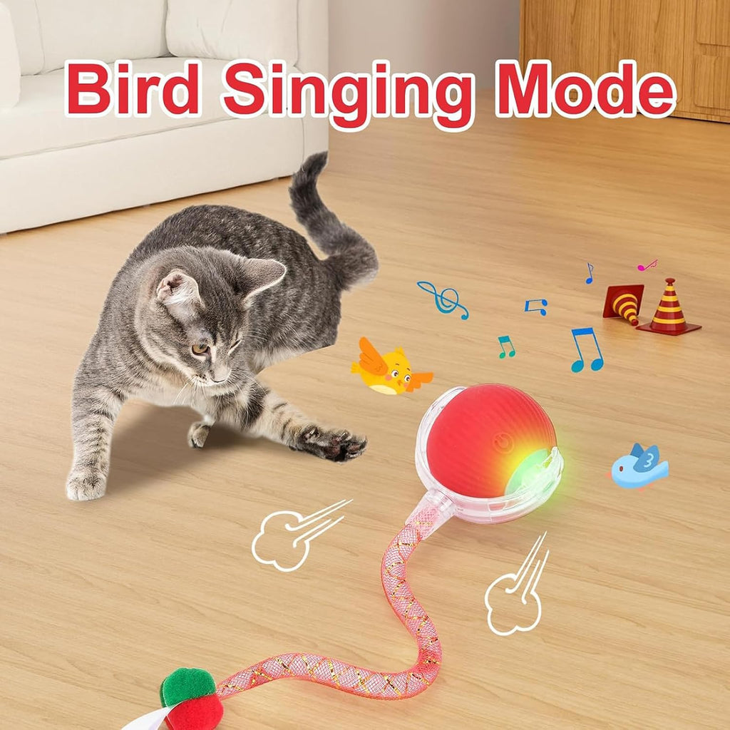 Speed 2.0 interactive cat ball with feather tail attachment