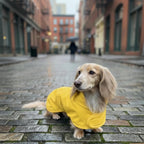 Hudson Hound waterproof long dog jacket side view showcasing full back coverage.