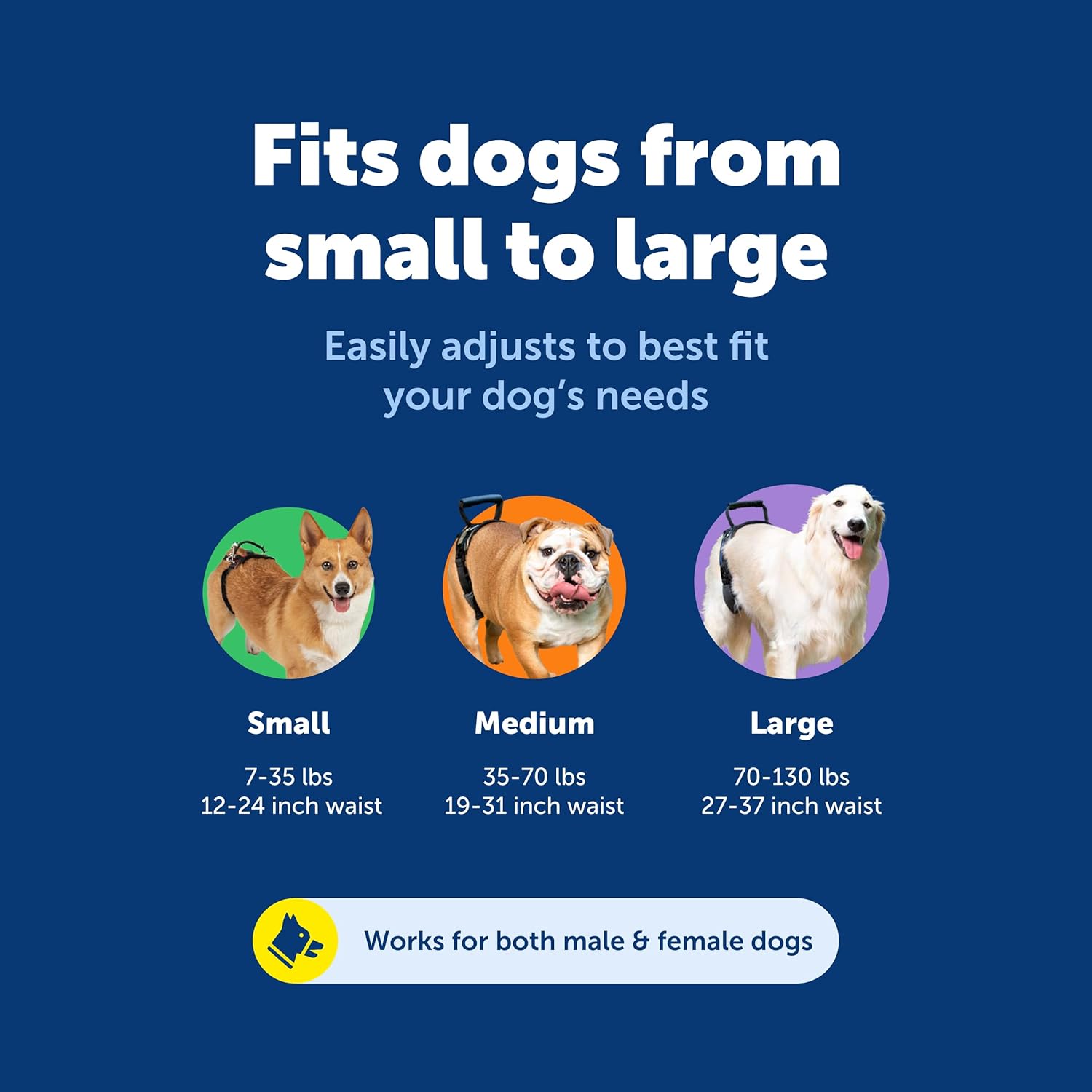 Side profile of PetSafe mobility harness for senior dogs