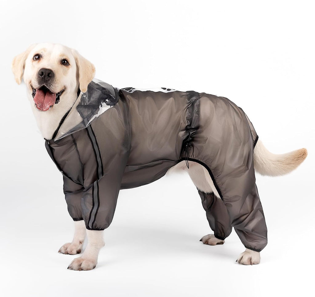Olsa high visibility dog raincoat during an evening outdoor walk.