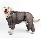 Olsa high visibility dog raincoat during an evening outdoor walk.