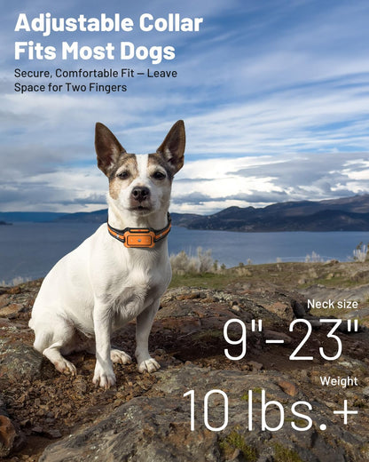LYZPET waterproof collar receiver showcasing the adjustable strap designed for dogs weighing fifteen pounds and up.