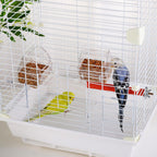 IBWell transparent bird feeder showing interior seed capacity