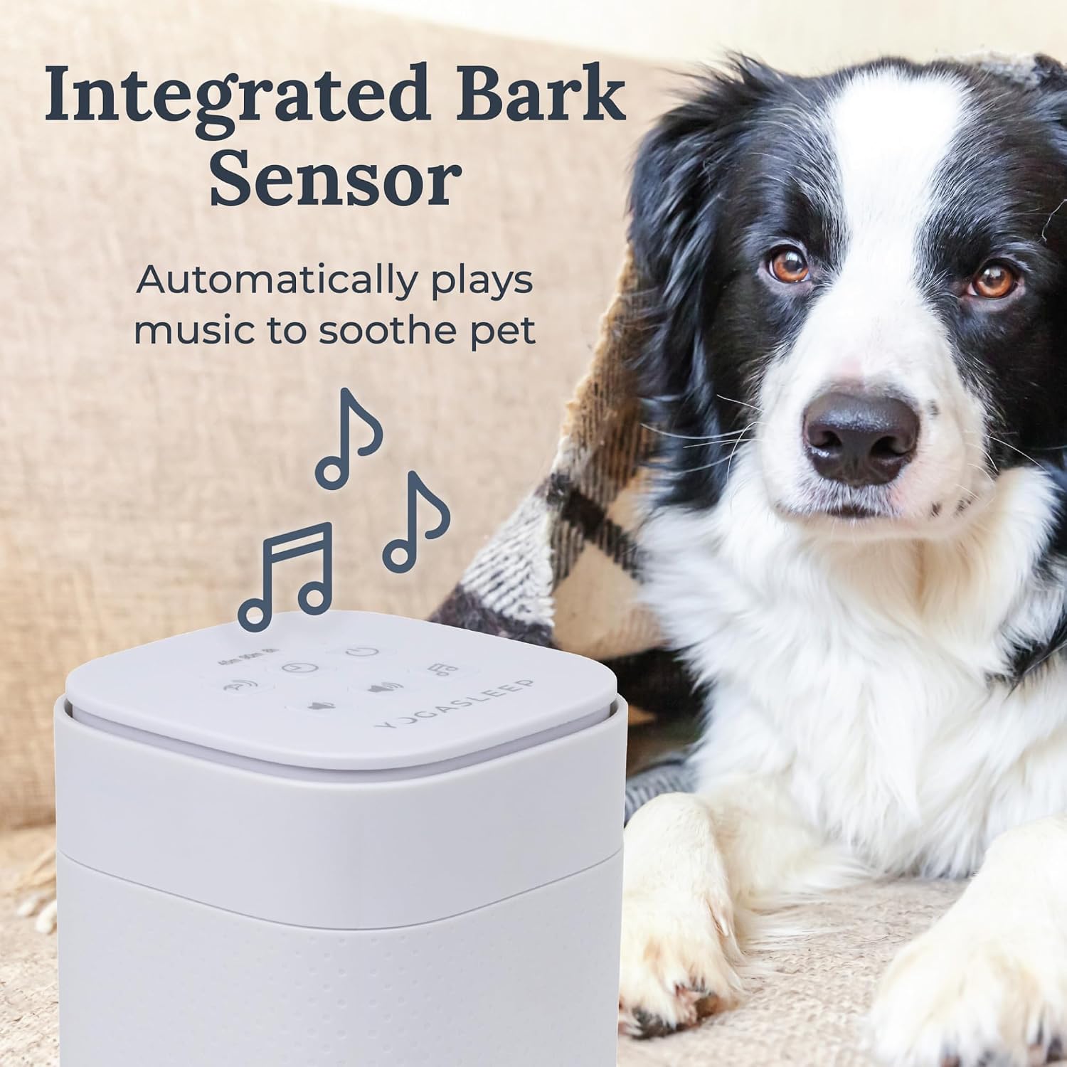 Close up of the control panel on the Yogasleep Pawzz pet sound conditioner