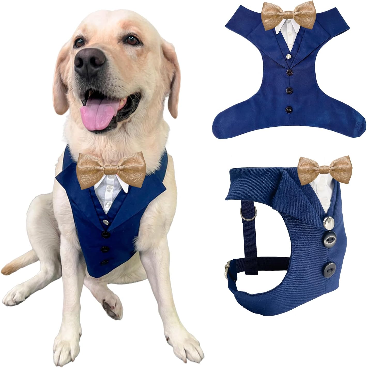 AVERYDAY Dog Tuxedo front view on a Labrador sitting proudly at a wedding party
