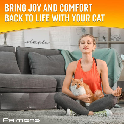 Primens clear couch protector aesthetic view in living room