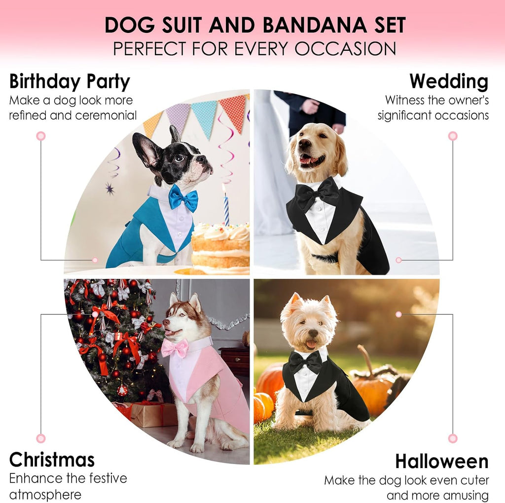 Two piece male dog tuxedo shirt and bandana collection closeup