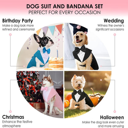 Two piece male dog tuxedo shirt and bandana collection closeup