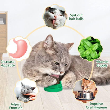 Cat playing with NoNi green catnip wall toy