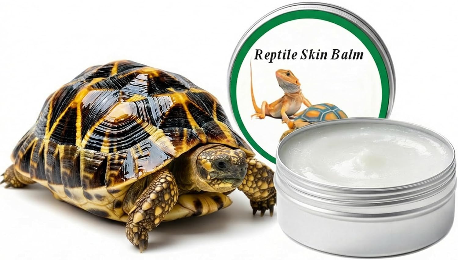Application of Rondure shell moisturizer on tortoise