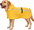Pawdyssey dog raincoat with hood front view on a large golden retriever.