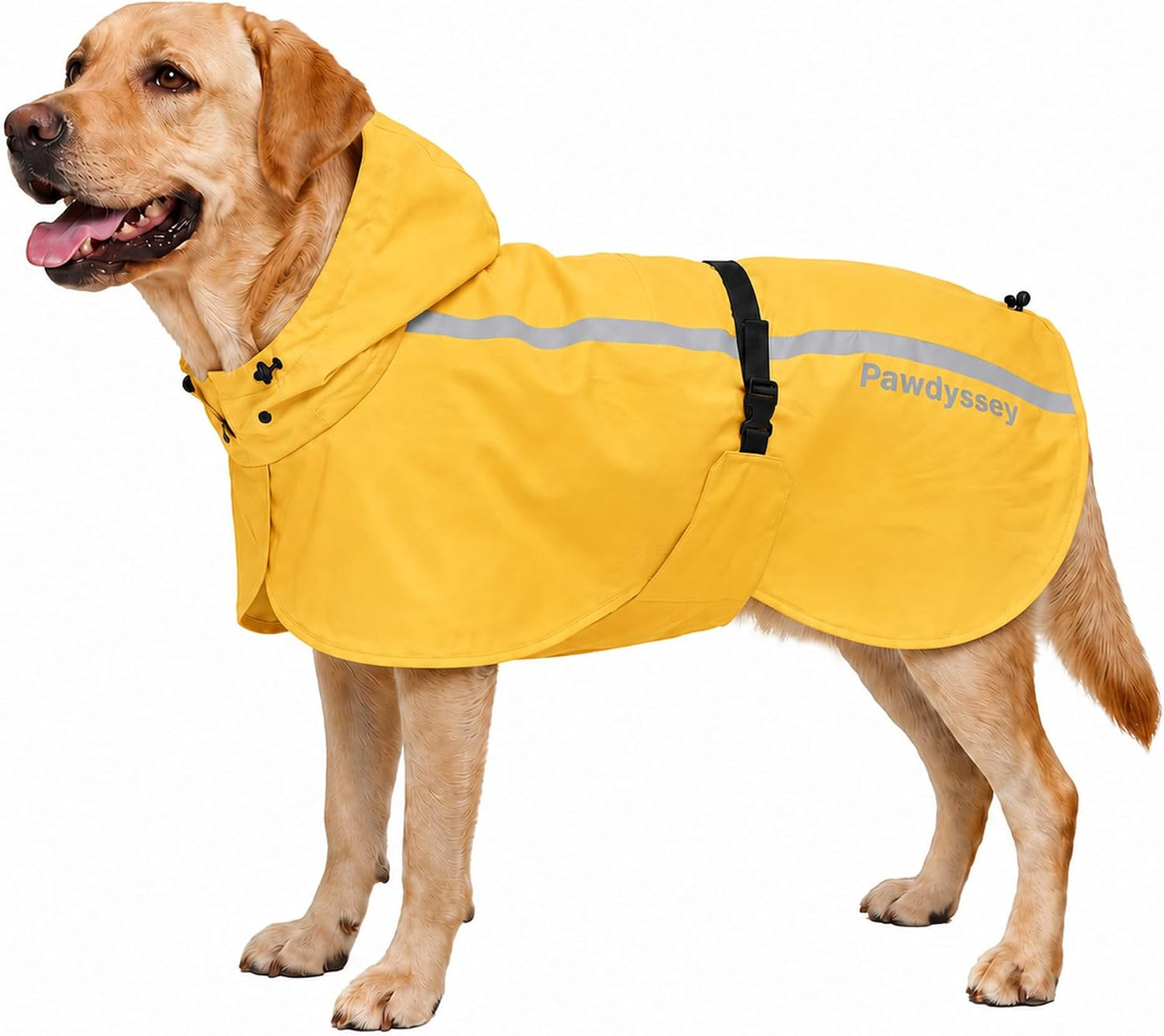 Pawdyssey dog raincoat with hood front view on a large golden retriever.