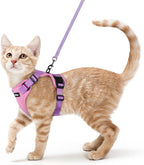 rabbitgoo Escape Proof Cat Harness and Leash Set, Xs, Black | 4-point Adjustable, Quick-snap Buckles, All-weather Mesh, Secure Leash Clip, Reflective Strips, for Small & Average Cats - Image 14