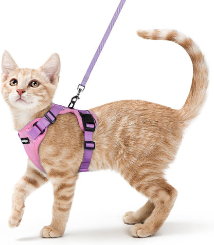 rabbitgoo Escape Proof Cat Harness and Leash Set, Xs, Black | 4-point Adjustable, Quick-snap Buckles, All-weather Mesh, Secure Leash Clip, Reflective Strips, for Small & Average Cats - Image 14