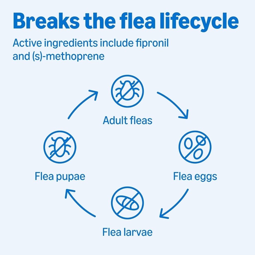 Monthly dog flea control breaking flea life cycle instructions
