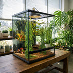 Reptile EcoDen terrarium accessory kit components