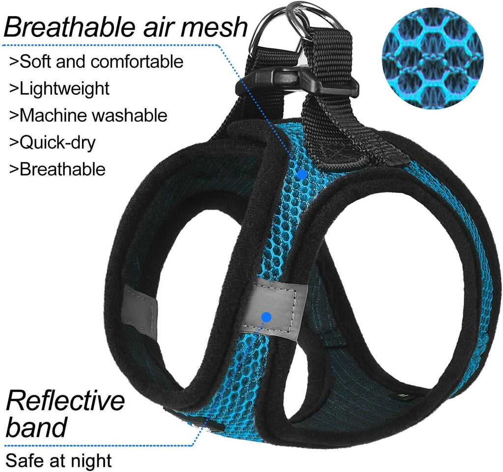 Dog wearing blue matilor breathable mesh vest