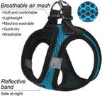 Dog wearing blue matilor breathable mesh vest