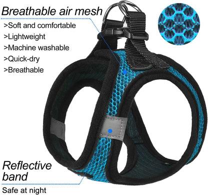 Dog wearing blue matilor breathable mesh vest