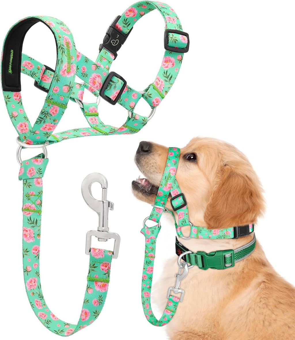Dog Head Collar, Printed No-Pull Headcollar, Adjustable Dog Head Halter Gentle Lead with Safety Link, 3 Colors Muzzle Leash for Small Medium Large X-Large Dogs Easy Walks(Large, Mimosa) - Image 10