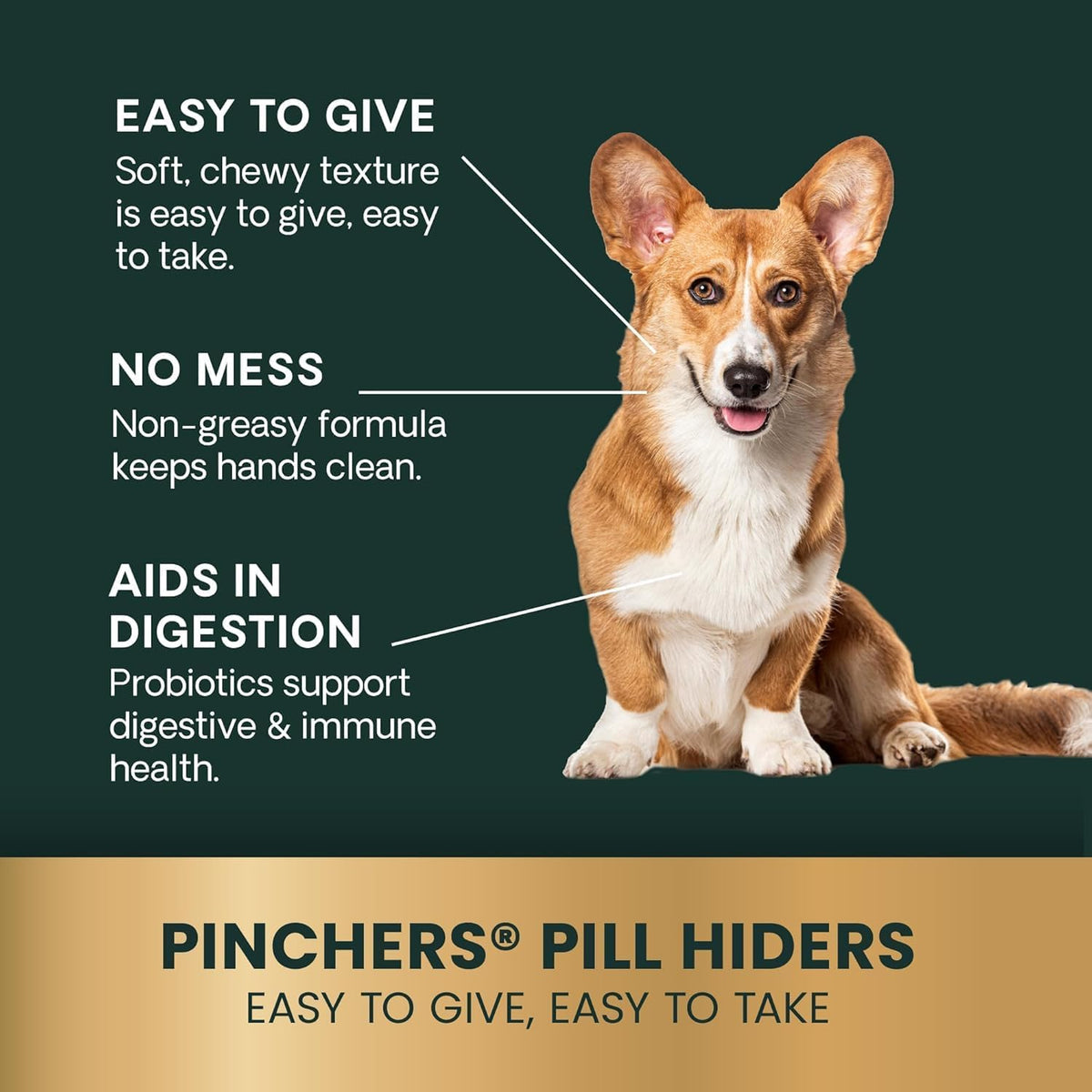 Triangular shapeable non greasy dog pill disguise treat close up