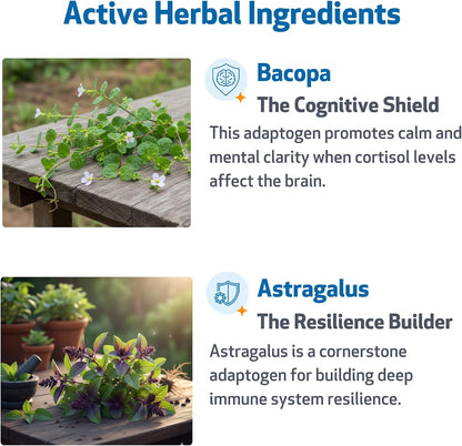 Liquid pet supplement with Ashwagandha and Bacopa for normal cortisol levels.