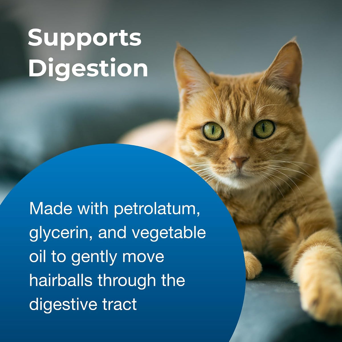 PetAg hairball remedy back label usage guide