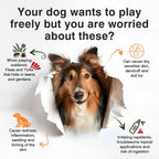 Klomkmcl omega 3 skin and coat chews label details