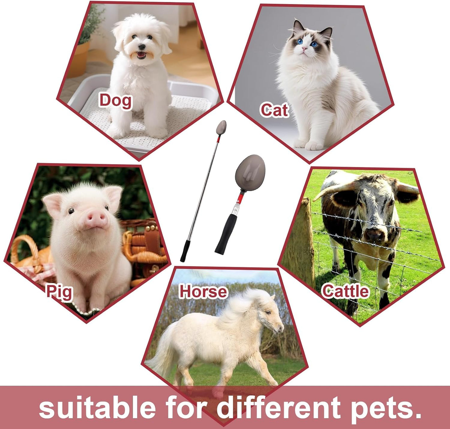 Paidiem veterinary specimen collection kit for dogs and cats.