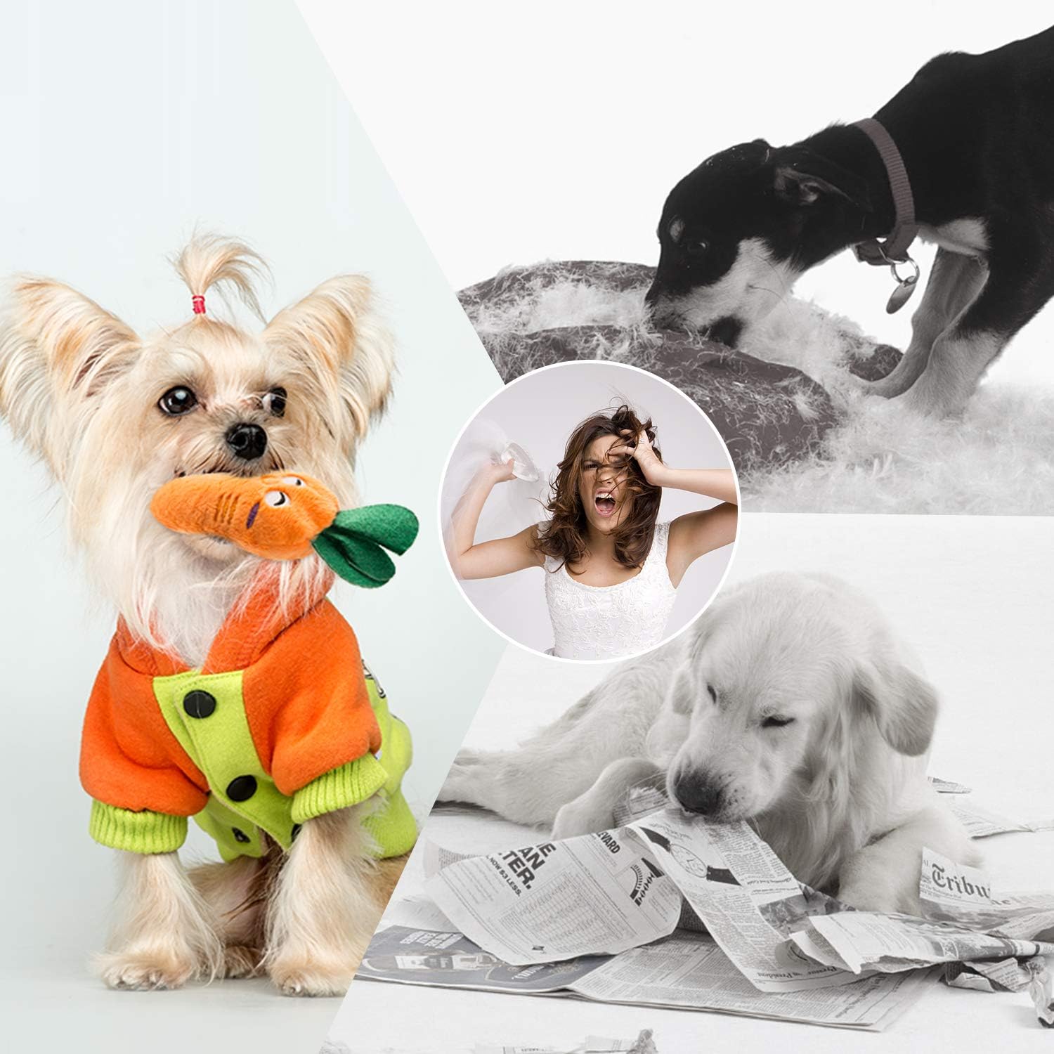 Nocciola small breed puppy toys set arranged cleanly to show all twelve distinct shapes