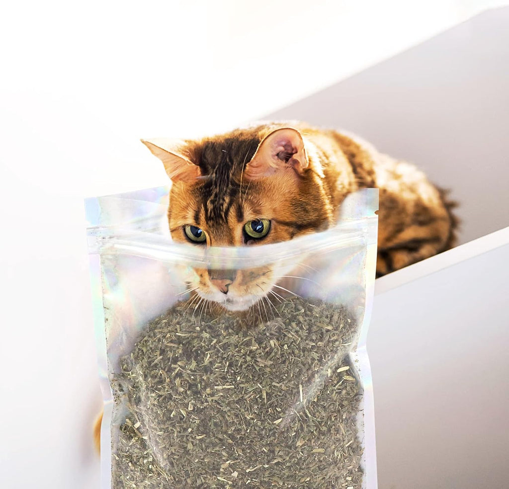 Sprinkling loose dry catnip onto a vertical cat scratching post.