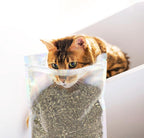 Sprinkling loose dry catnip onto a vertical cat scratching post.