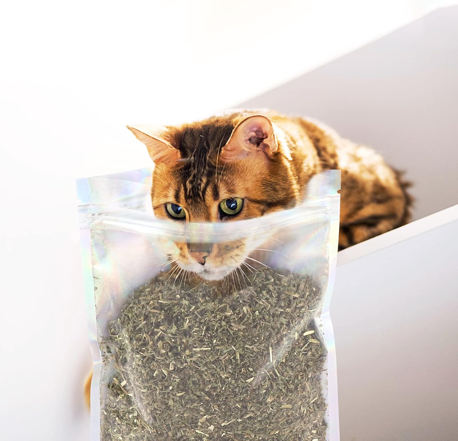 Sprinkling loose dry catnip onto a vertical cat scratching post.