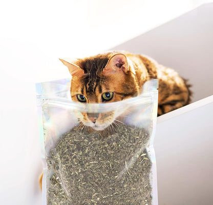 Sprinkling loose dry catnip onto a vertical cat scratching post.