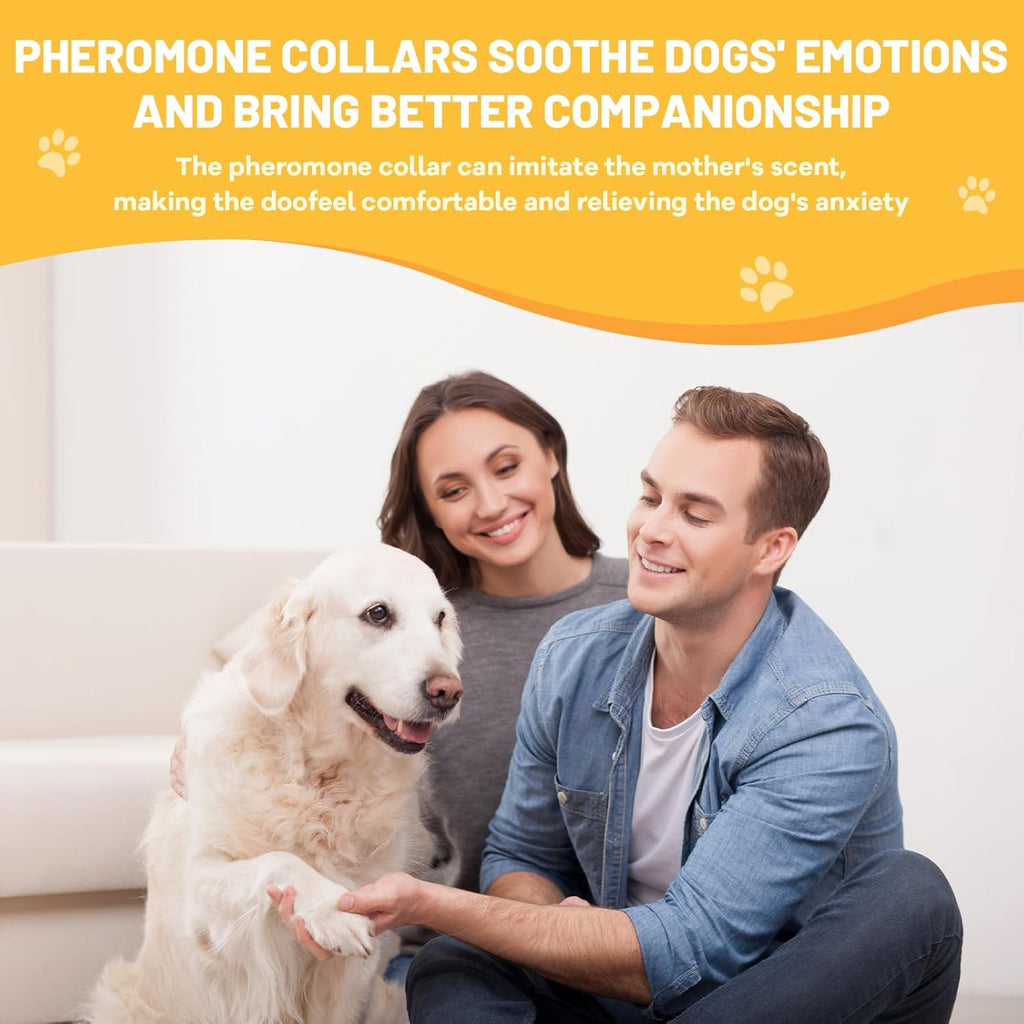 A calm and relaxed dog wearing the grey adjustable soothing collar at home.