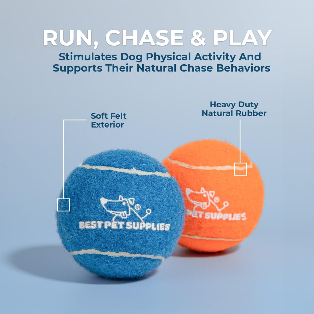 Small dog running with Best Pet Supplies interactive toy