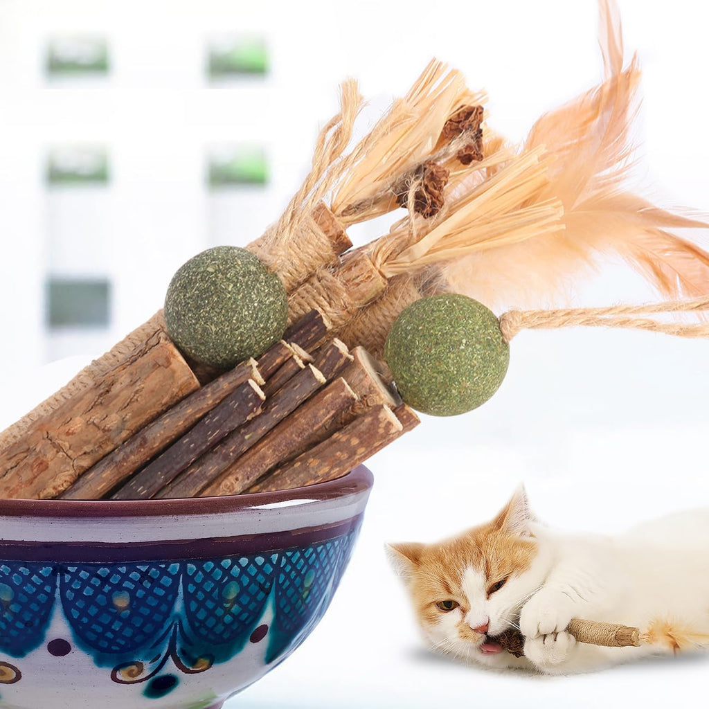 Kyouki catnip and silvervine enrichment set for indoor cats